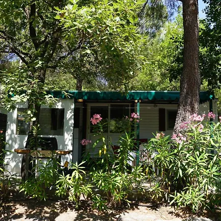 With Kitchen Outside At Lei Suves - Joycasa