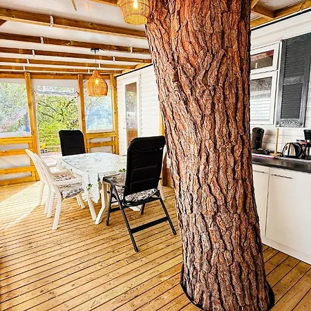 Camping With Kitchen Outside At Lei Suves - Joycasa